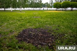 В Югорске обнаружили тело женщины