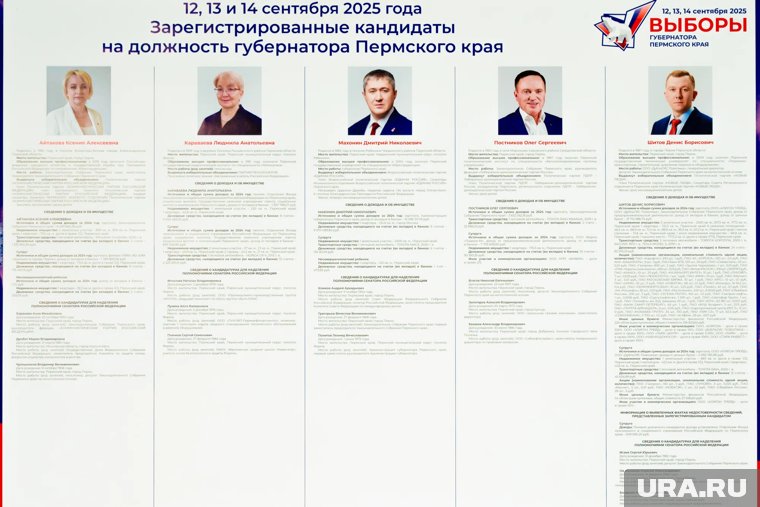 На выборы губернатора зарегистрировано пять человек: Ксения Айтакова (КПРФ), Людмила Караваева (Партия пенсионеров), Дмитрий Махонин (ЕР), Олег Постников (ЛДПР), Денис Шитов (Новые люди)