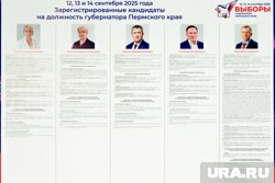 На выборы губернатора зарегистрировано пять человек: Ксения Айтакова (КПРФ), Людмила Караваева (Партия пенсионеров), Дмитрий Махонин (ЕР), Олег Постников (ЛДПР), Денис Шитов (Новые люди)