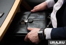 Власти Молдовы не сделали ничего внутри страны, заявил Воронин