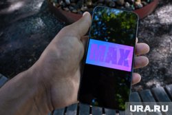 Инициативу по созданию национального мессенджера поддержали 64% граждан РФ