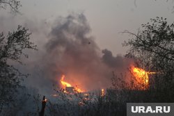 Пожар возник из-за падения самолета