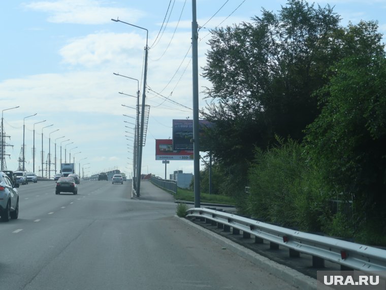 На улице Бурова-Петрова в Кургане уберут деревья из-за жалоб автомобилистов