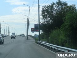 На улице Бурова-Петрова в Кургане уберут деревья из-за жалоб автомобилистов