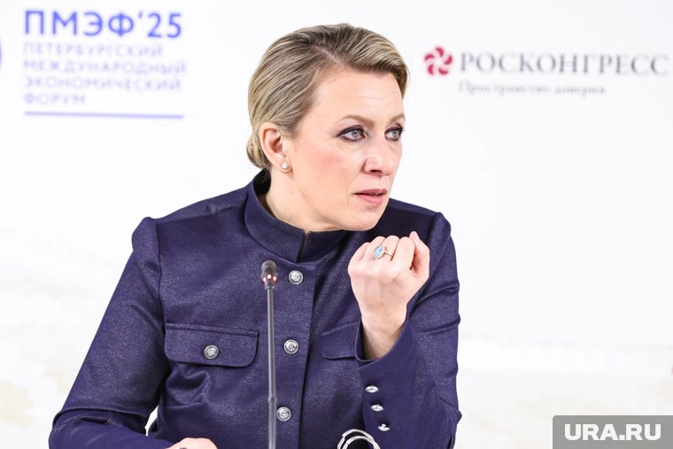 Захарова посоветовала главе минобороны Литвы сменить профессию