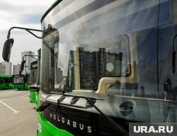 На маршруте будут работать восемь автобусов