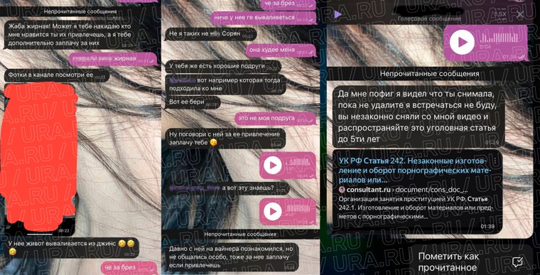 Предполагаемая переписка мужчины с одной из школьниц