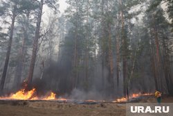 Крупные лесные пожары полыхали в Курганской области весной 2022 года