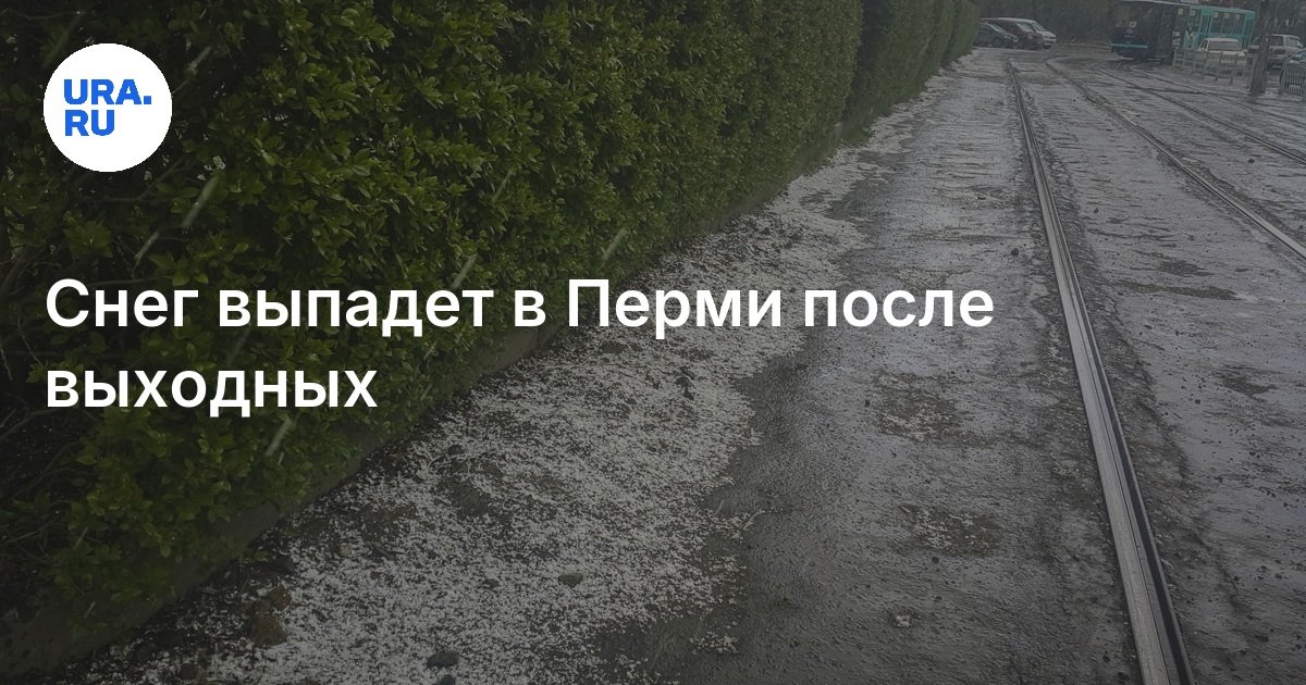 Погода в Перми: с 7 октября прогнозируется мокрый снег