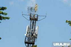 Упавшая вышка перекрыла движение в Московской области