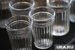 В ЛДПР предложили ввести «дни трезвости» в России