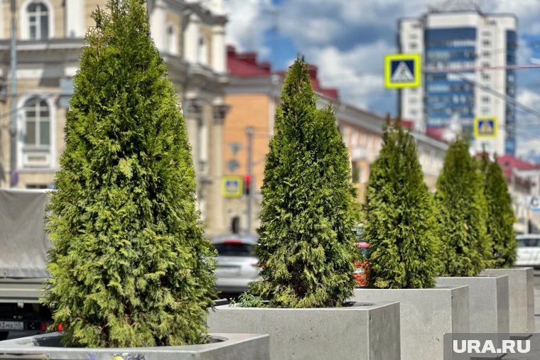 Десятки тысяч туй прибыли в Пермь