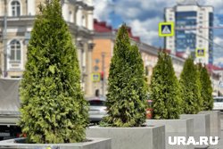 Десятки тысяч туй прибыли в Пермь 