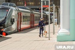 Чаще всего в июне ямальцы на поезде едут в Тюмень