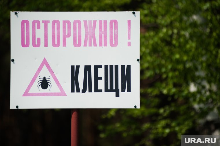 Причиной всему распространение опасного лугового клеща