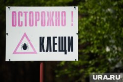 Причиной всему распространение опасного лугового клеща 