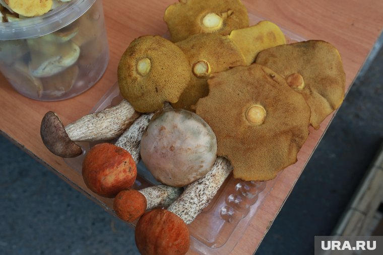 Курганцы продают грибы по 800 рублей за 10 литров (архивное фото)