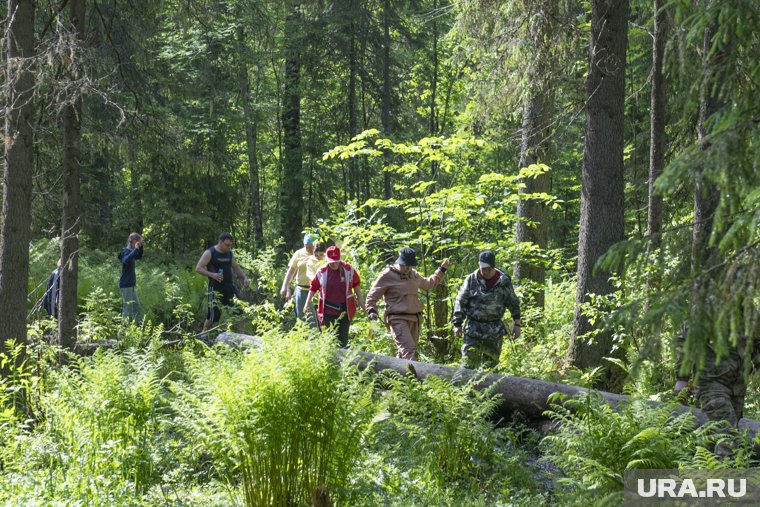 В окрестностях Тюмени немало потрясающе красивых мест для прогулок