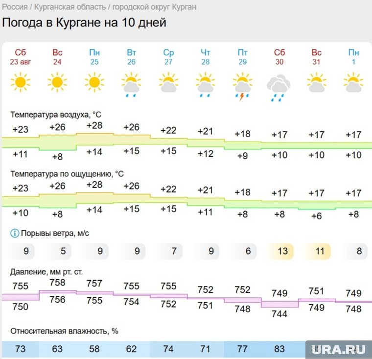 В понедельник в Курган вернется жара, но это ненадолго