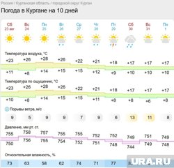 В понедельник в Курган вернется жара, но это ненадолго