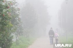 Туман накроет Прикамье ночью