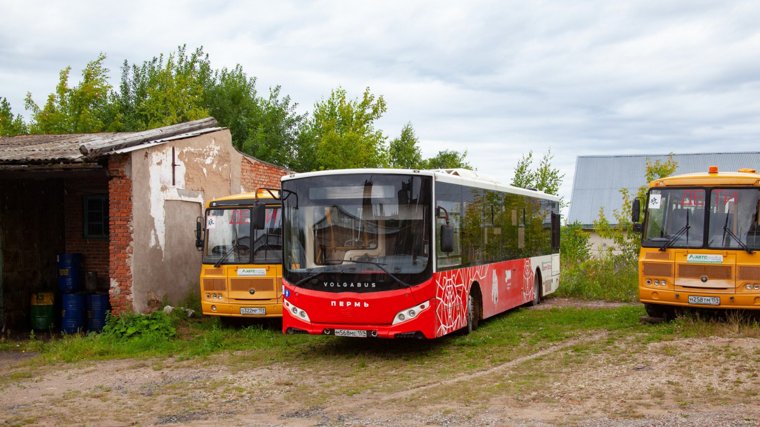 Они также стоят в парке в Верещагино