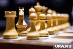 «Скворечник» откроется в следующем году