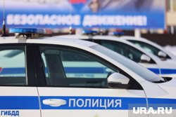 Сотрудники ГАИ проводят проверку по факту аварии