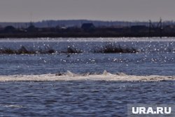 Сейчас автобусы в село не ходят, на дороге — лед и стремительное течение