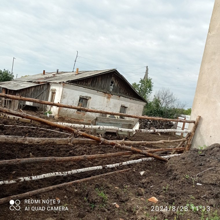 Соседи пожаловались на курганского фермера, который плохо обращался с домашним скотом