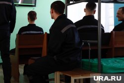 Курганского трансгендера* могут отправить в СИЗО для мужчин: мнение юристов