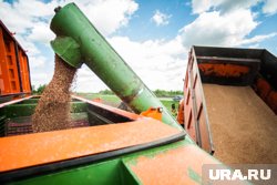 Продукцию тюменских аграриев хорошо знают за рубежом