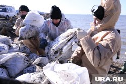 За последнюю неделю в Анапе со дна были подняты последние 443 мешка с нефтепродуктами