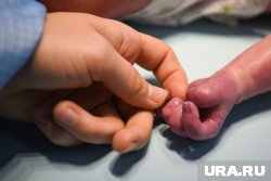 За неделю на свет появились 635 малышей