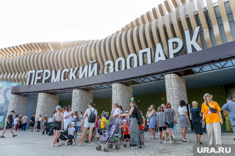 Новый зоопарк посетили 200 тысяч человек