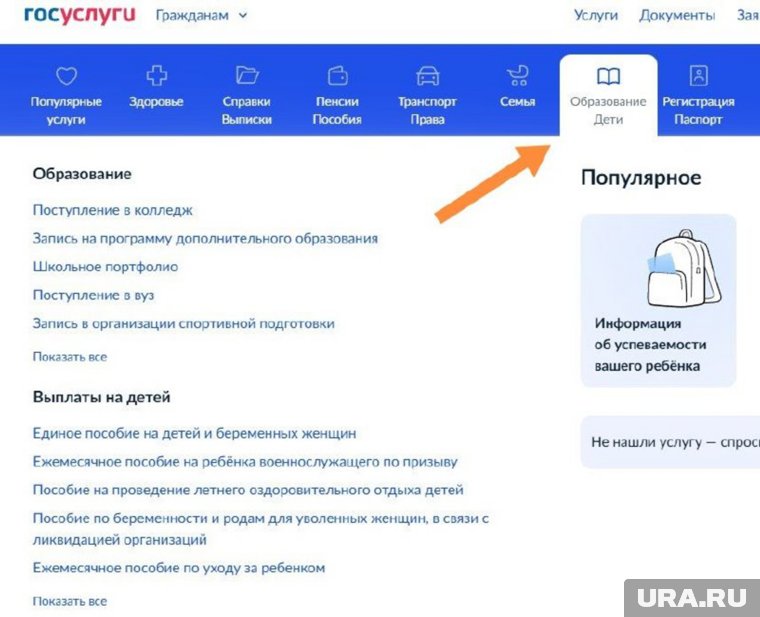 В «Госуслугах»  перейдите в раздел «Запись на программу дополнительного образования