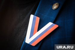 Семь участников СВО победили на местных выборах в Югре