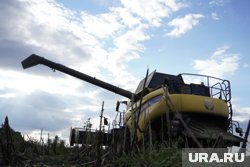 Все случилось в населенном пункте Шептуховка