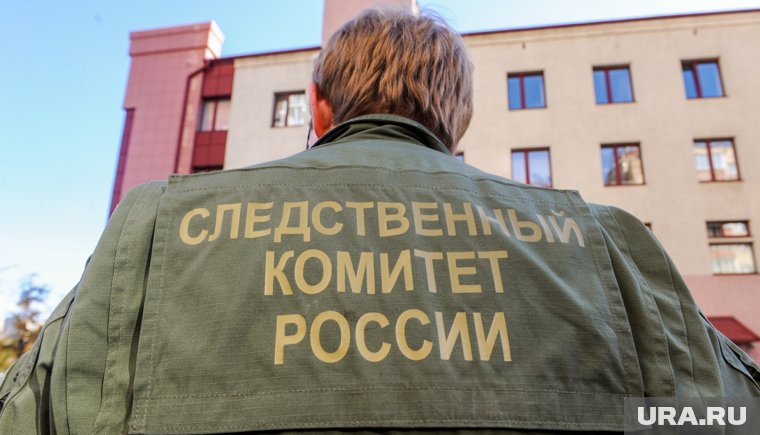 Праздник был установлен в 2013 году по приказу правительства России