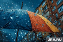 На Ямале почти всю неделю будут лить дожди