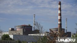 При обстреле Энергодара ЗАЭС не пострадала, заявил Балицкий 