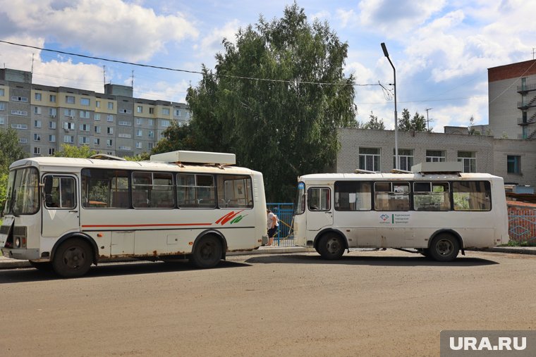 Рейсы будут выполняться в обычном графике после трудоустройства водителей (архивное фото)