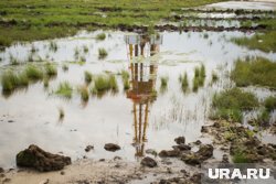 Нефтесервис из ХМАО задолжал миллиарды за вред природе