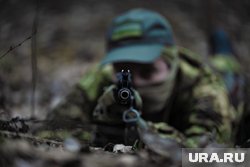 Бой прошел в лесополосе