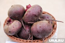 Свеклу нужно подкормить за две недели до сбора урожая