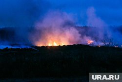 Горит сухая трава
