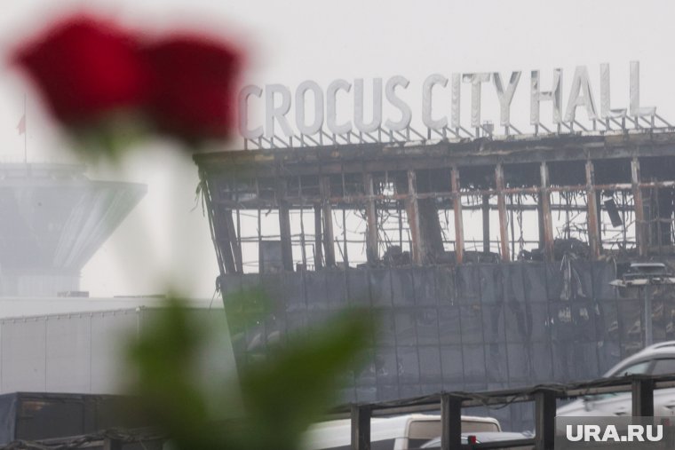 Стало известно о финансировании нападения теракта в «Крокусе»