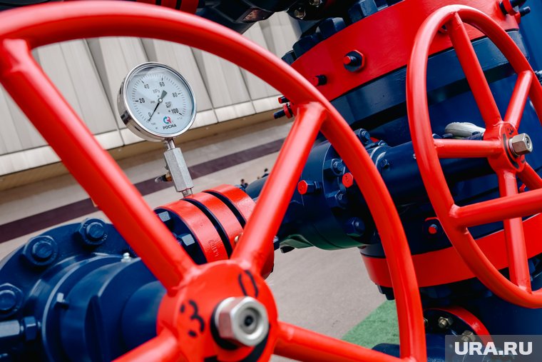 Германия должна вернутся к российскому газу