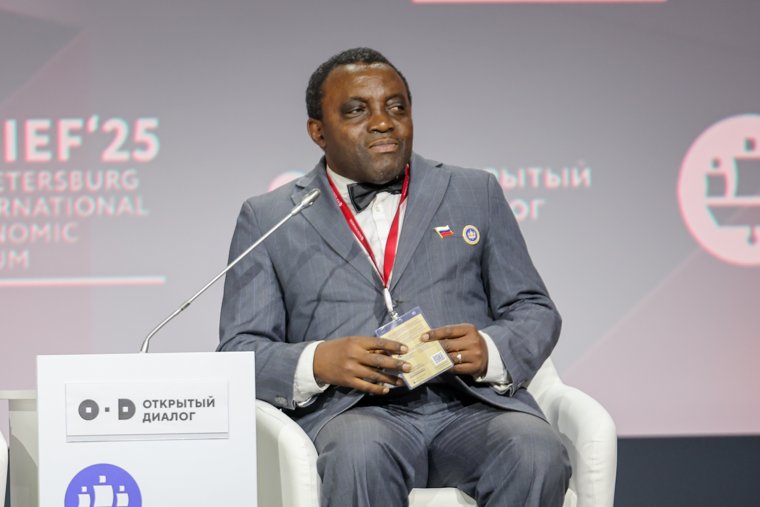 Председатель Африканского консультативного совета Франсуа Нденгве подчеркнул особую роль Африки в современном мире