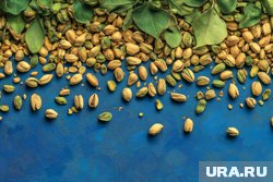 Названы продукты питания с повышенной радиацией
